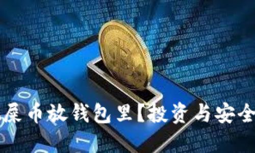 为什么要把屎币放钱包里？投资与安全的双重考量