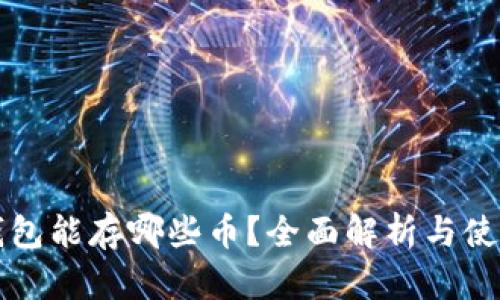 比特钱包能存哪些币？全面解析与使用指南