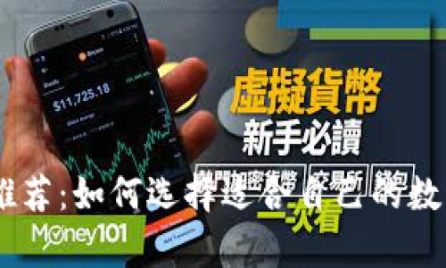 USDT个人钱包推荐：如何选择适合自己的数字资产存储工具