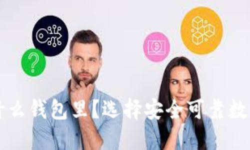 狗狗币放在什么钱包里？选择安全可靠数字钱包的指南