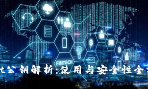 tpWallet公钥解析：使用与安全性全方位解读
