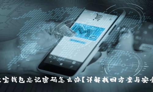 TRX波宝钱包忘记密码怎么办？详解找回方案与安全建议