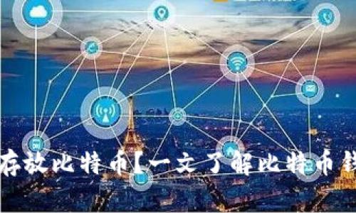 哪个钱包可以安全存放比特币？一文了解比特币钱包类型及选择指南