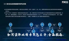 如何读取比特币钱包文件