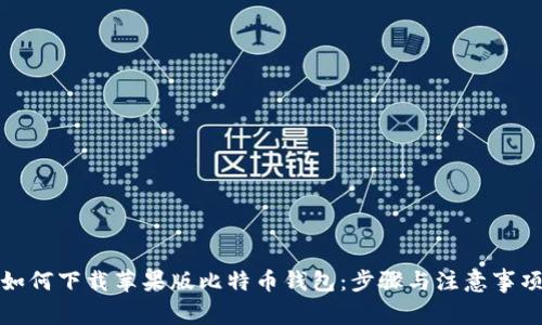 如何下载苹果版比特币钱包：步骤与注意事项