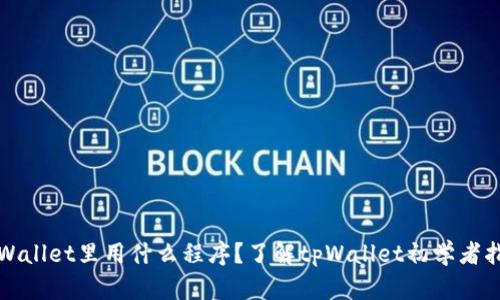 tpWallet里用什么程序？了解tpWallet初学者指南