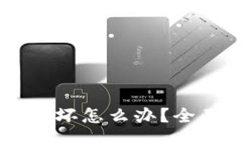 比特币硬件钱包损坏怎么办？全面指南与解决方案