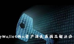 tpWallet的u资产消失原因及