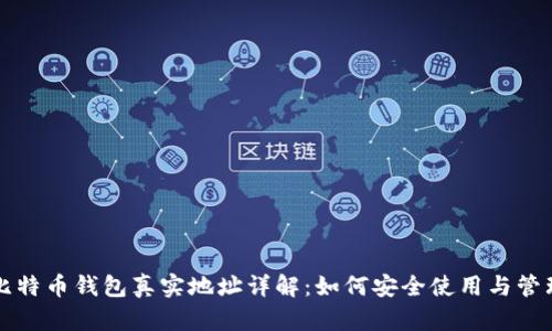 比特币钱包真实地址详解：如何安全使用与管理