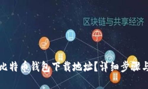 如何更改比特币钱包下载地址？详细步骤与技巧解析