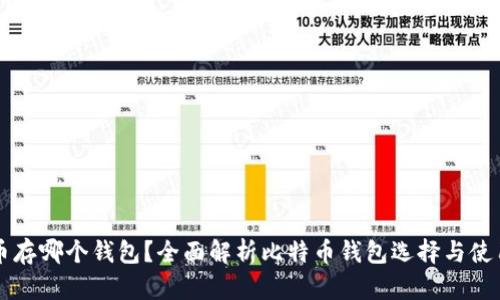 比特币存哪个钱包？全面解析比特币钱包选择与使用指南