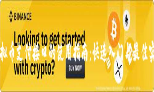 虚拟币支付接口的使用指南：快速入门与最佳实践