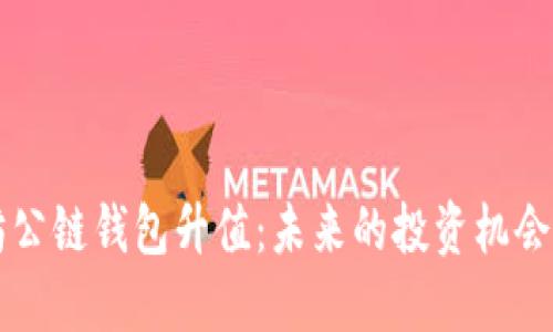 以太坊公链钱包升值：未来的投资机会与挑战