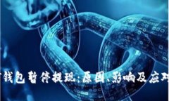 USDT钱包暂停提现：原因、