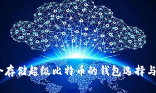 推荐：适合存储超级比特币的钱包选择与使用指南