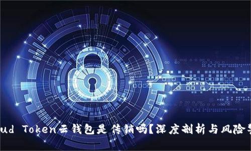 Cloud Token云钱包是传销吗？深度剖析与风险警示