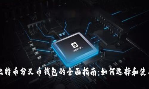 比特币分叉币钱包的全面指南：如何选择和使用