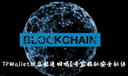 TPWallet被盗能追回吗？专家揭秘安全秘诀
