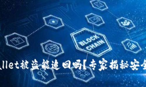 TPWallet被盗能追回吗？专家揭秘安全秘诀