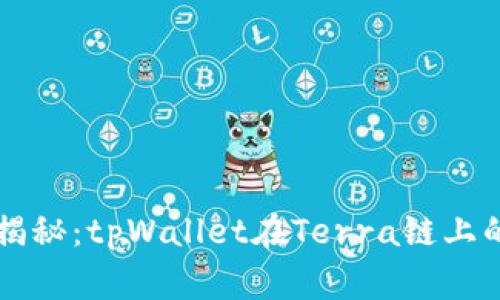 专家独家揭秘：tpWallet在Terra链上的运用秘诀