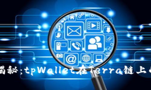 专家独家揭秘：tpWallet在Terra链上的运用秘诀