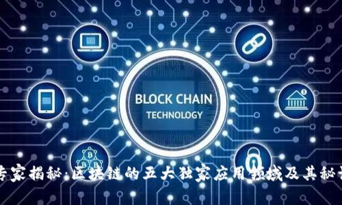 专家揭秘：区块链的五大独家应用领域及其秘诀