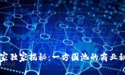 区块链应用专家独家揭秘：一方圆池的商业秘密与未来前景