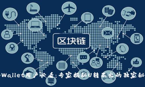 tpWallet用户必看：专家揭秘U转不出的独家秘诀