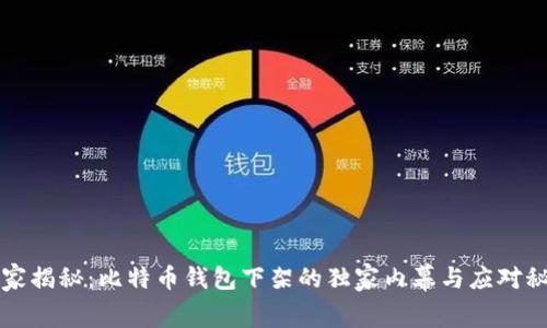 专家揭秘：比特币钱包下架的独家内幕与应对秘诀