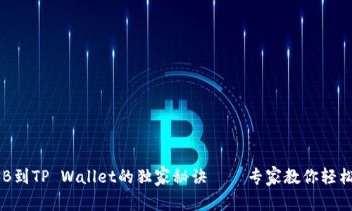安银提BNB到TP Wallet的独家秘诀——专家教你轻松完成转账