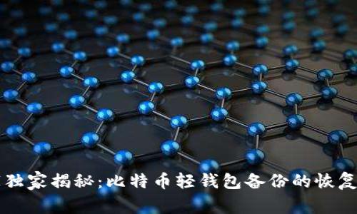 专家独家揭秘：比特币轻钱包备份的恢复秘诀