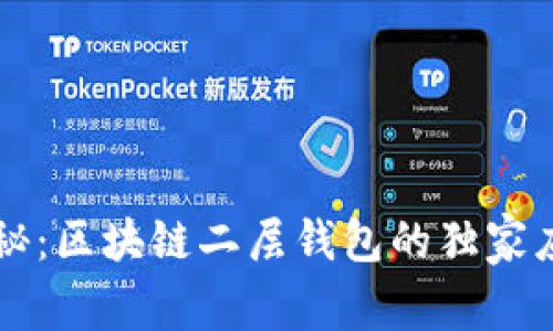 专家揭秘：区块链二层钱包的独家应用秘诀