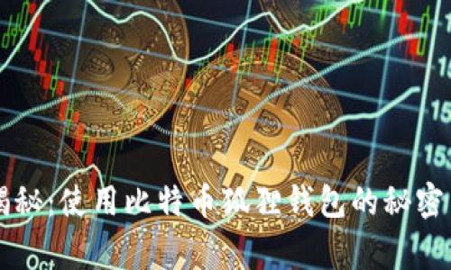 专家独家揭秘：使用比特币狐狸钱包的秘密与风险分析