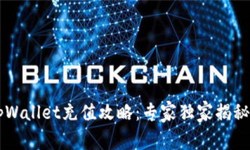 币安链tpWallet充值攻略：专家独家揭秘充值秘诀