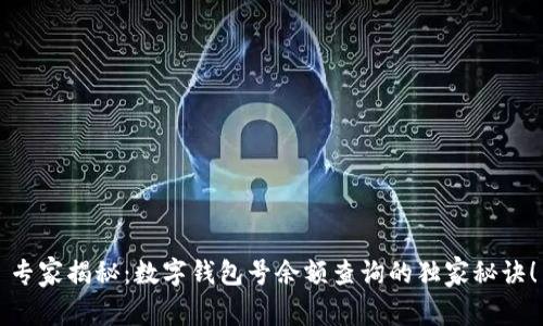 专家揭秘：数字钱包号余额查询的独家秘诀！