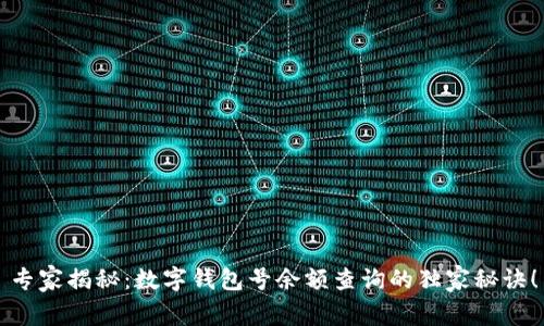 专家揭秘：数字钱包号余额查询的独家秘诀！