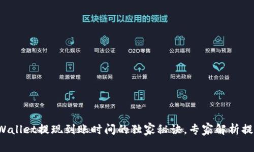 揭秘tpWallet提现到账时间的独家秘诀，专家解析提现流程！