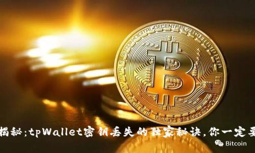 专家揭秘：tpWallet密钥丢失的独家秘诀，你一定要知道