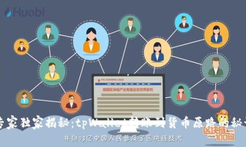 专家独家揭秘：tpWallet转账到货币原路的秘诀