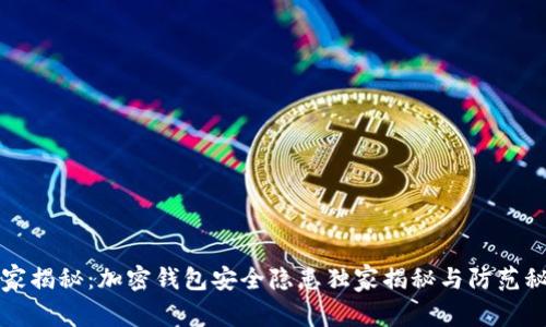 专家揭秘：加密钱包安全隐患独家揭秘与防范秘诀