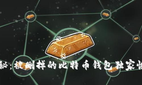 专家揭秘：被删掉的比特币钱包独家恢复秘诀