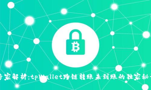 专家解析：tpWallet跨链转账未到账的独家秘诀