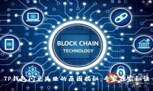 TP钱包闪兑失败的原因揭秘：专家独家秘诀