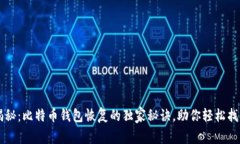 专家揭秘：比特币钱包恢