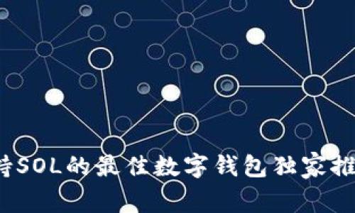 专家解密：支持SOL的最佳数字钱包独家推荐与选择秘诀