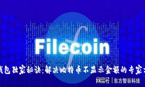 TP钱包独家秘诀：解决比特币不显示金额的专家方法