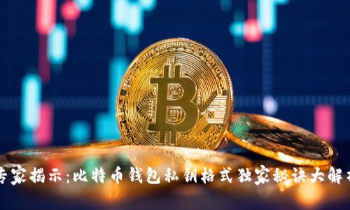 专家揭示：比特币钱包私钥格式独家秘诀大解析