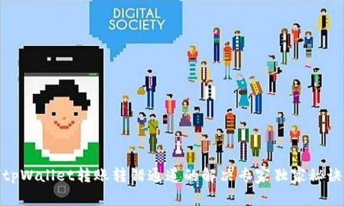 tpWallet转账转错通道的解决专家独家秘诀