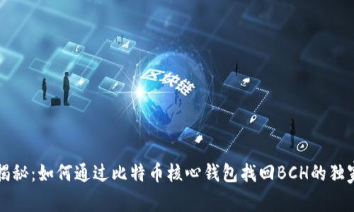 专家揭秘：如何通过比特币核心钱包找回BCH的独家秘诀