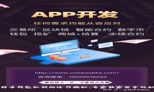 比特币钱包私钥的运作揭秘：专家独家分享的秘诀